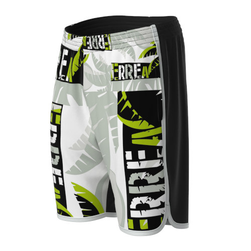 ERREA REPUBLIC TRANSFER1