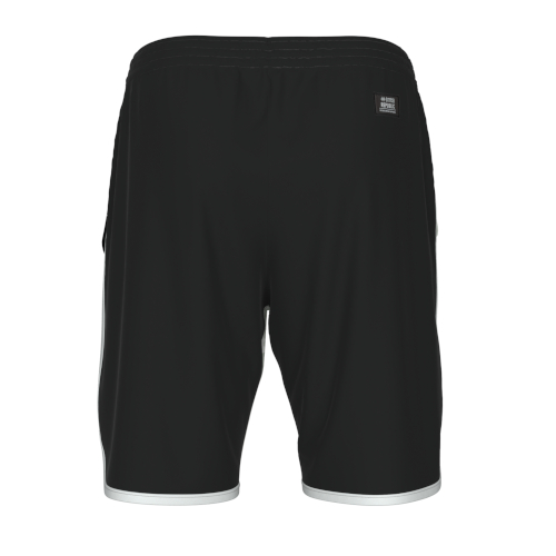 ERREA REPUBLIC TRANSFER2